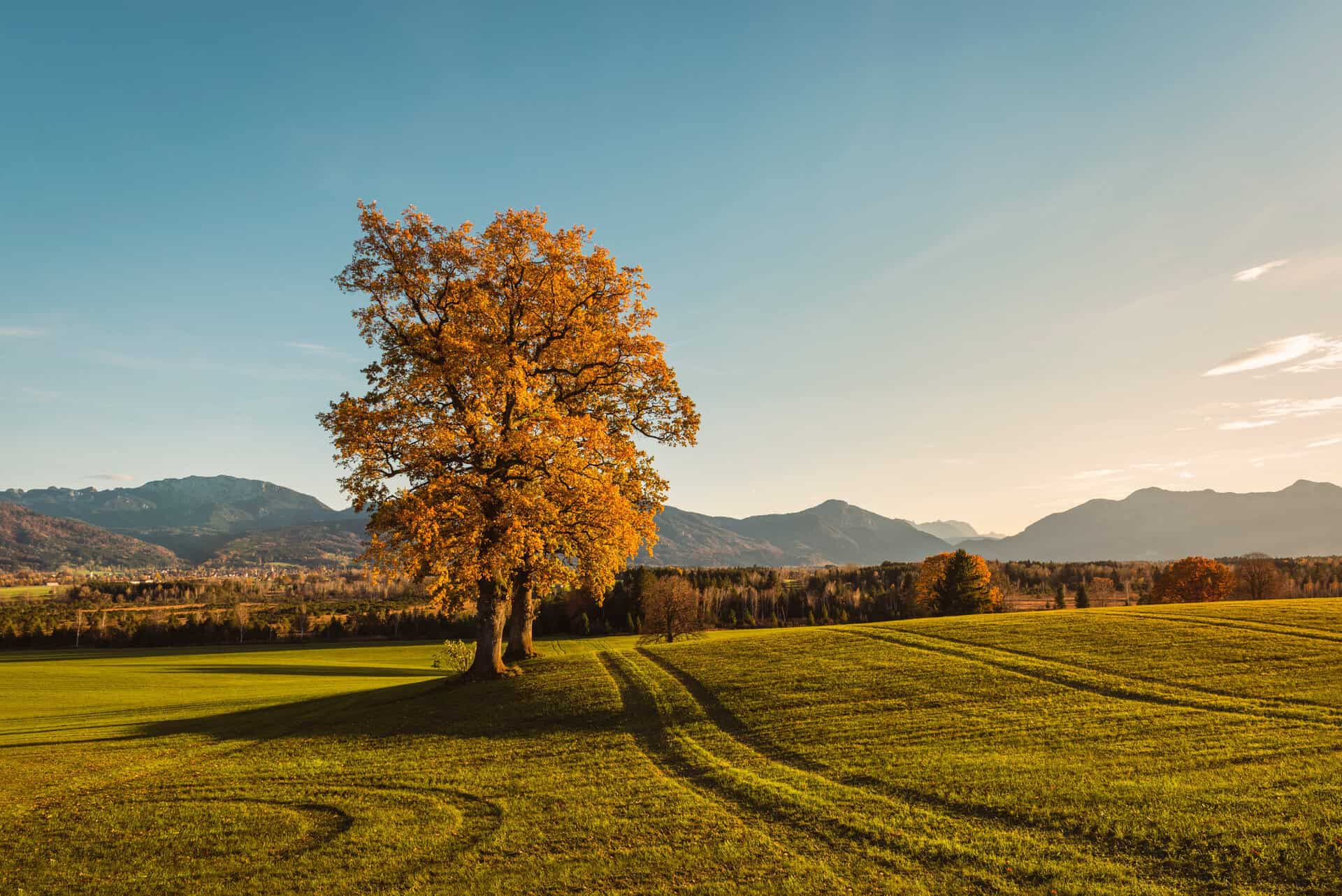 Ambulante Pflege und Betreuung im Grünen, flexible Pflegeleistungen für Senioren und Pflegebedürftig.